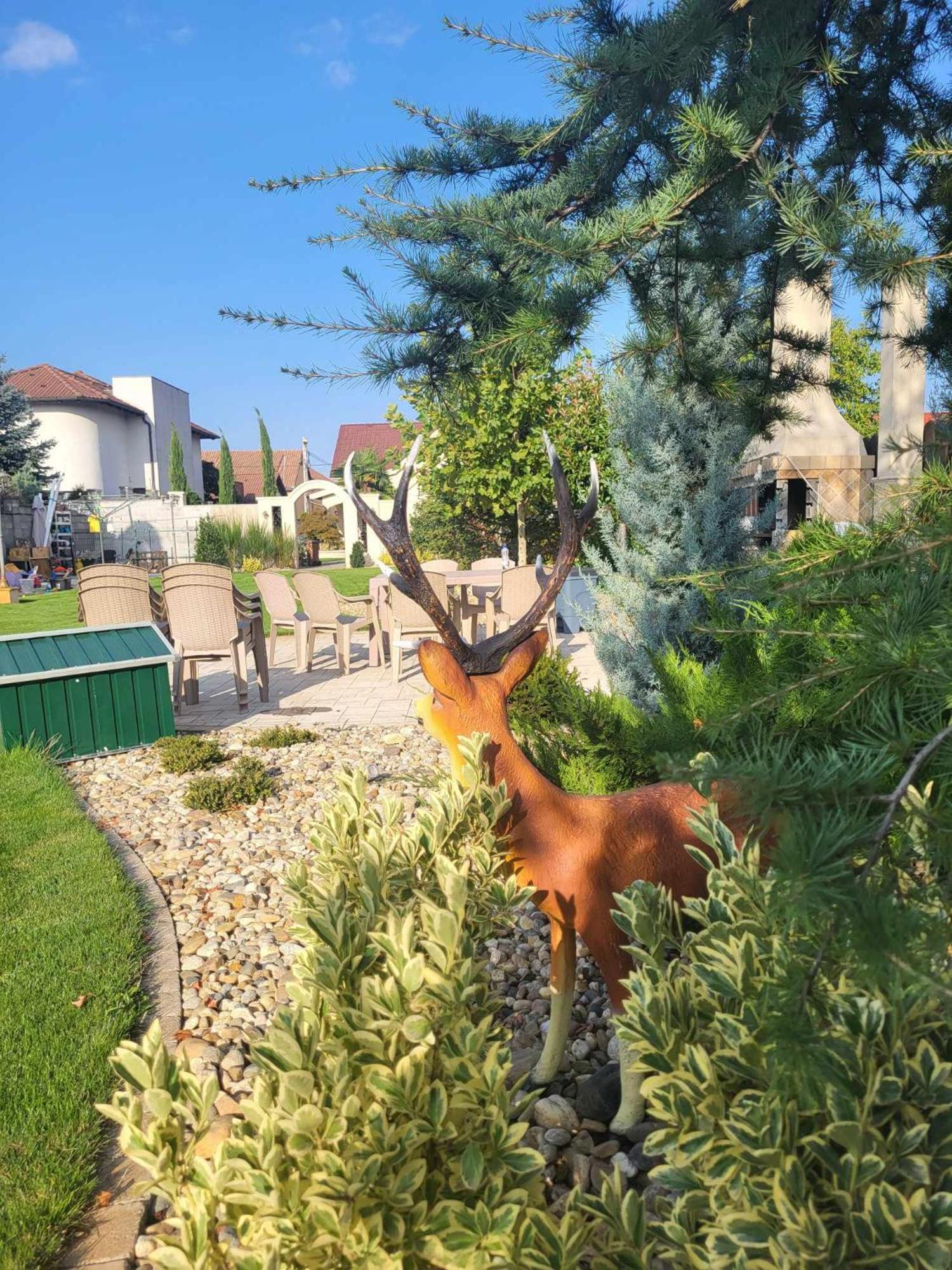 Sika Palladium Garden & Spa Central Apartment Arad Esterno foto